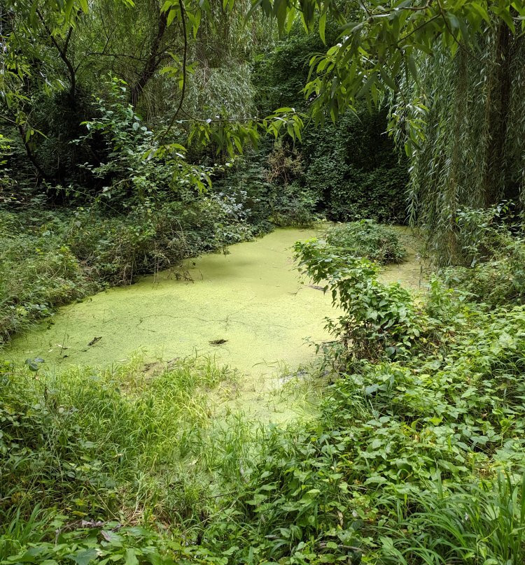 Museum of prehistory-Bojnice必去景点
