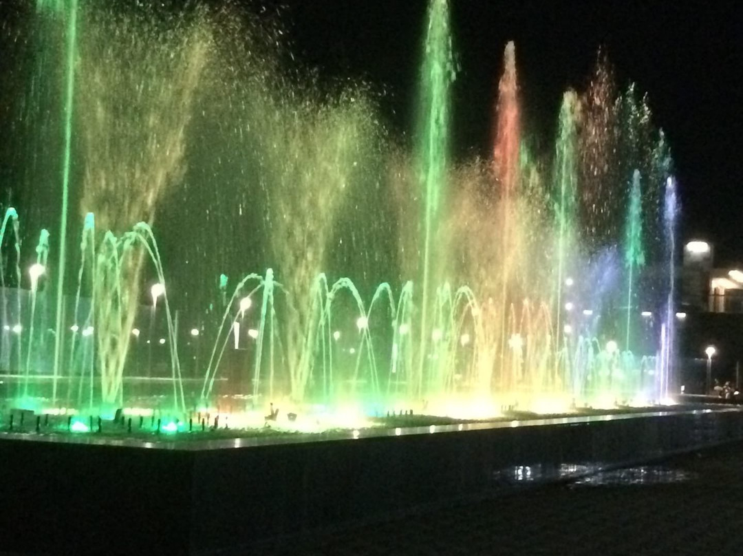 Light and Music Fountain-艾德勒必去景点