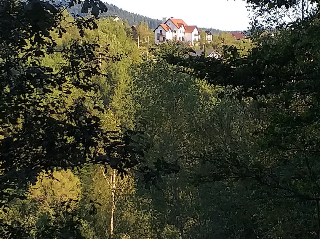 Villa Zoryany Dvir
