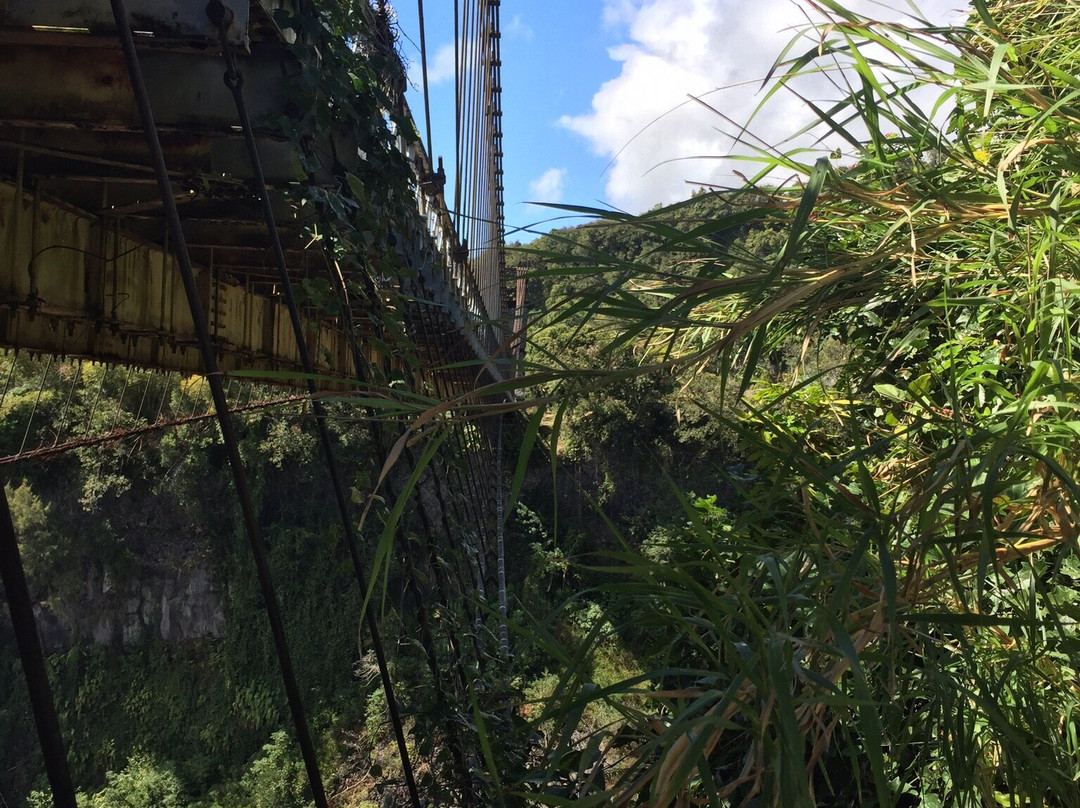 Pont Suspendu de la Rivière de l'Est景点图片