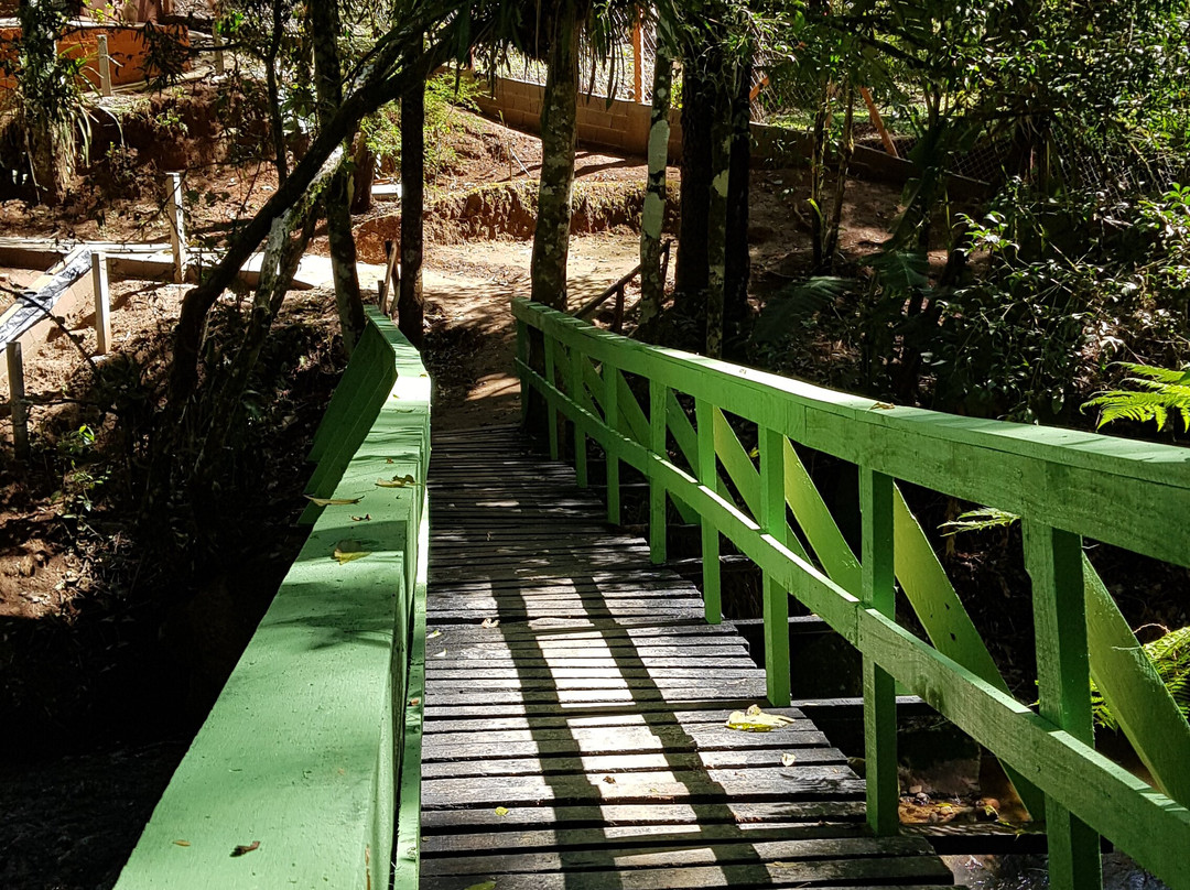 Cachoeira do Lageado-圣安东尼奥杜皮尼亚尔必去景点