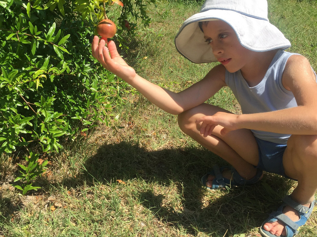 Pansionat Himik主图