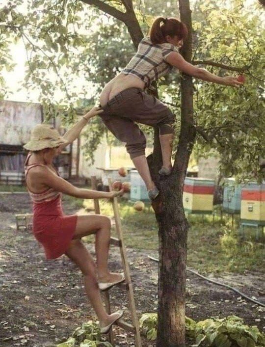 Raiskiy Sad主图