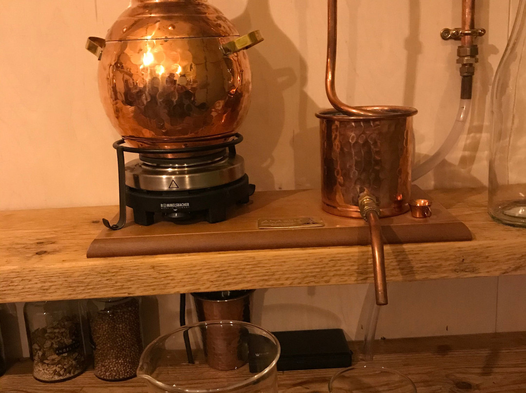 Gin Academy-诺威奇必去景点