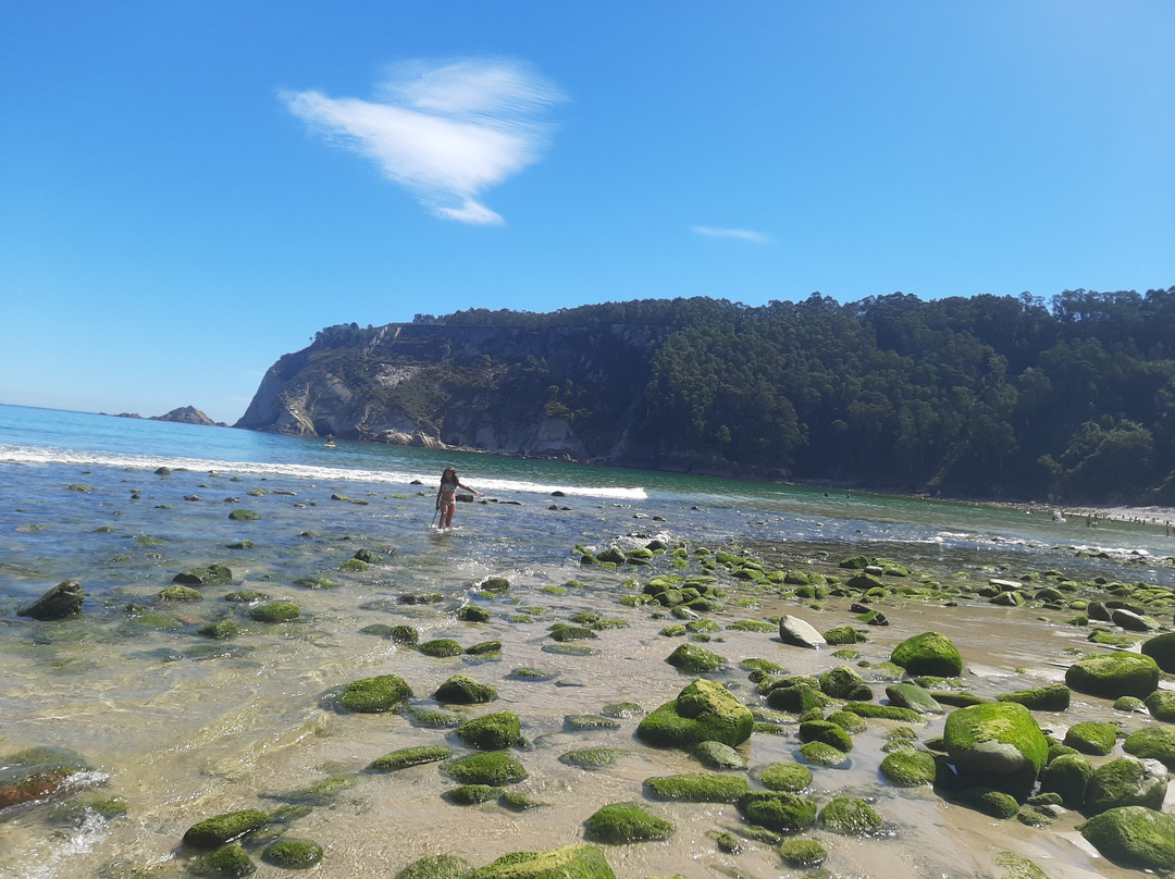 Playa Concha de Artedo-库迪列罗必去景点