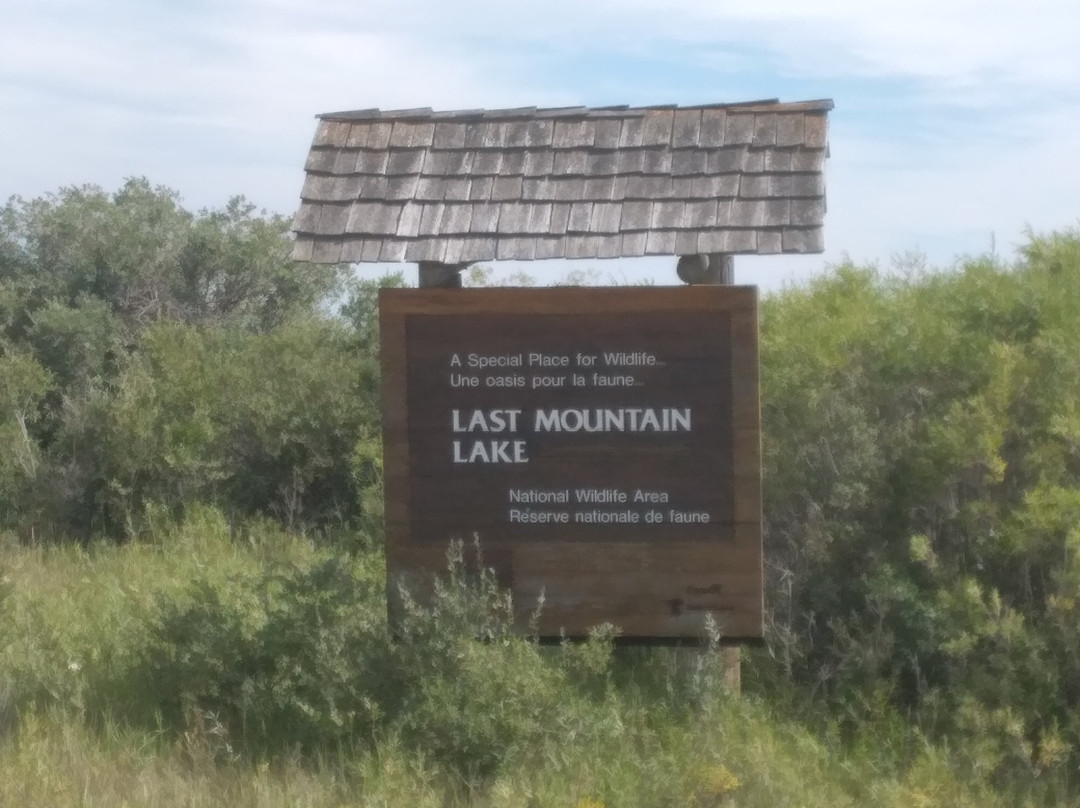 Last Mountain Lake National Wildlife Area-萨斯喀彻温省必去景点