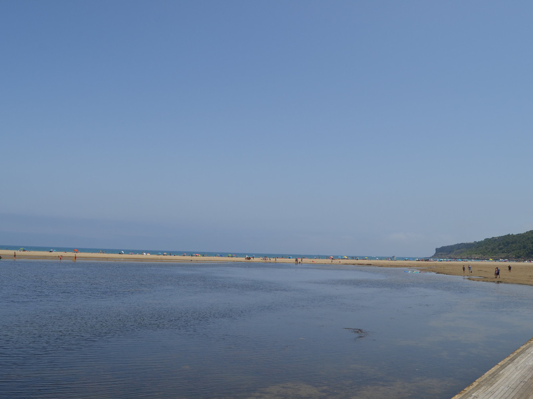 La Franqui Beach景点图片