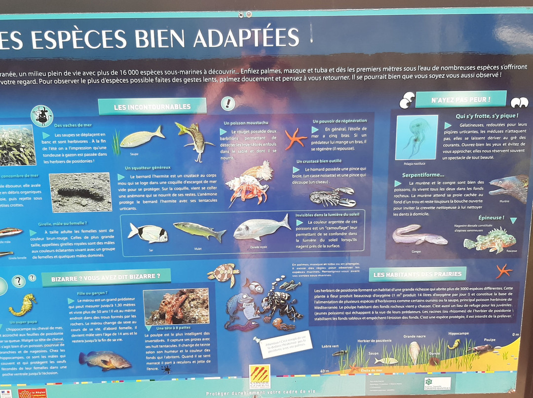 Le Sentier Sous-Marin de Cerbère-Banyuls-Cerbere必去景点