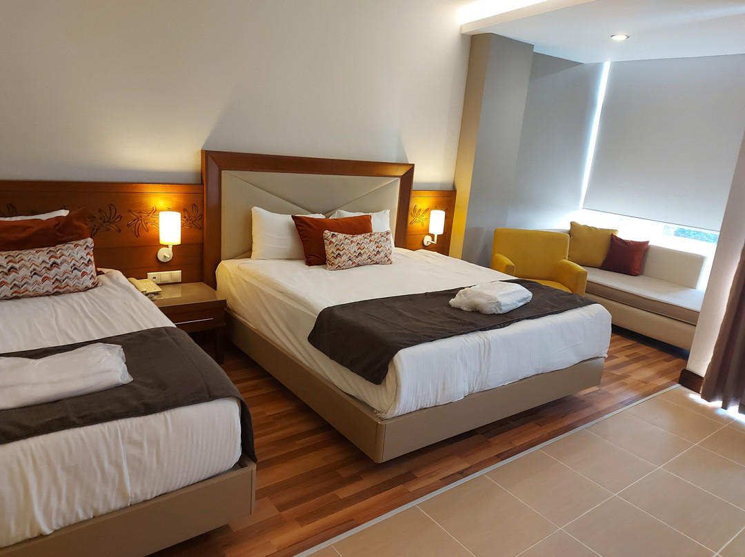 Leodikya Kirman Premium