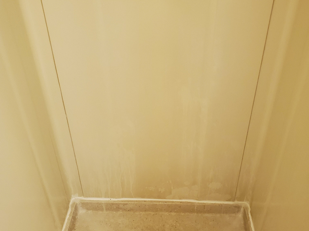 Daunt's Albatross主图