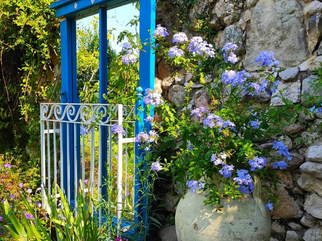 Il Giardino di Casa Biasi景点图片