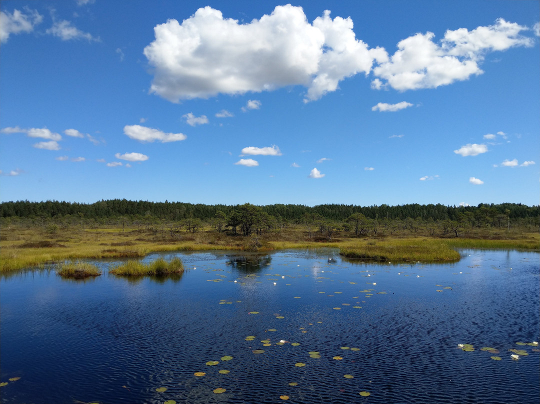 Soomaa National Park-维尔扬迪必去景点