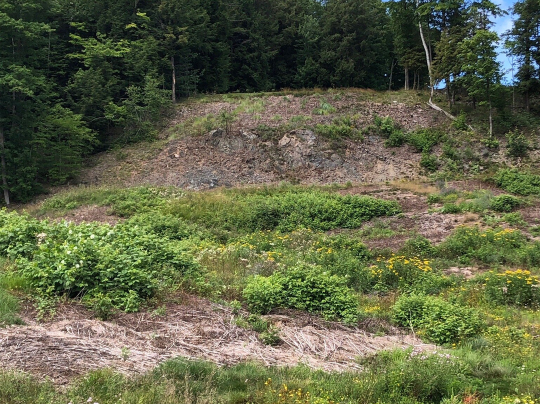 Marquette Golf Club-Marquette必去景点