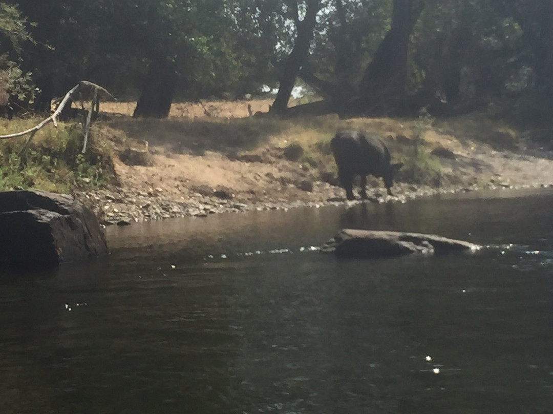 River Journey Adventures-Knights Ferry必去景点