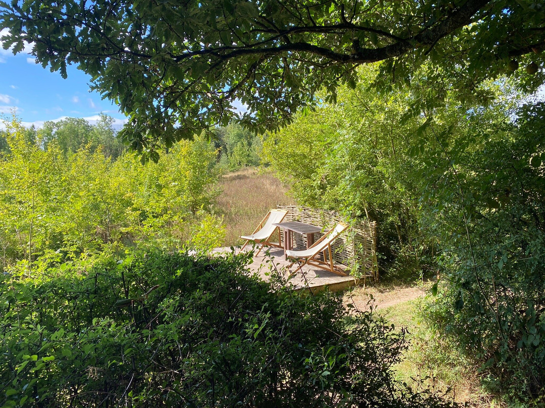 Brook House Woods景点图片