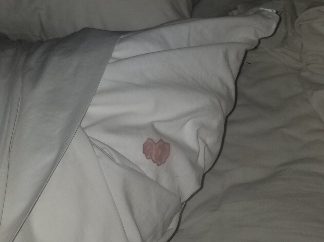 Quality Inn Keystone Near Mount Rushmore主图