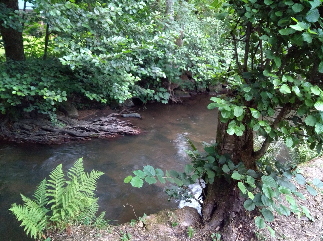 Campingpark Hirschhorn