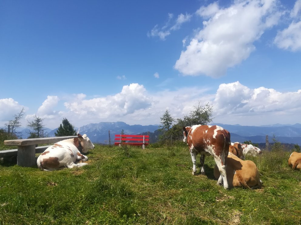 Ski Juwel-韦德修瑙必去景点