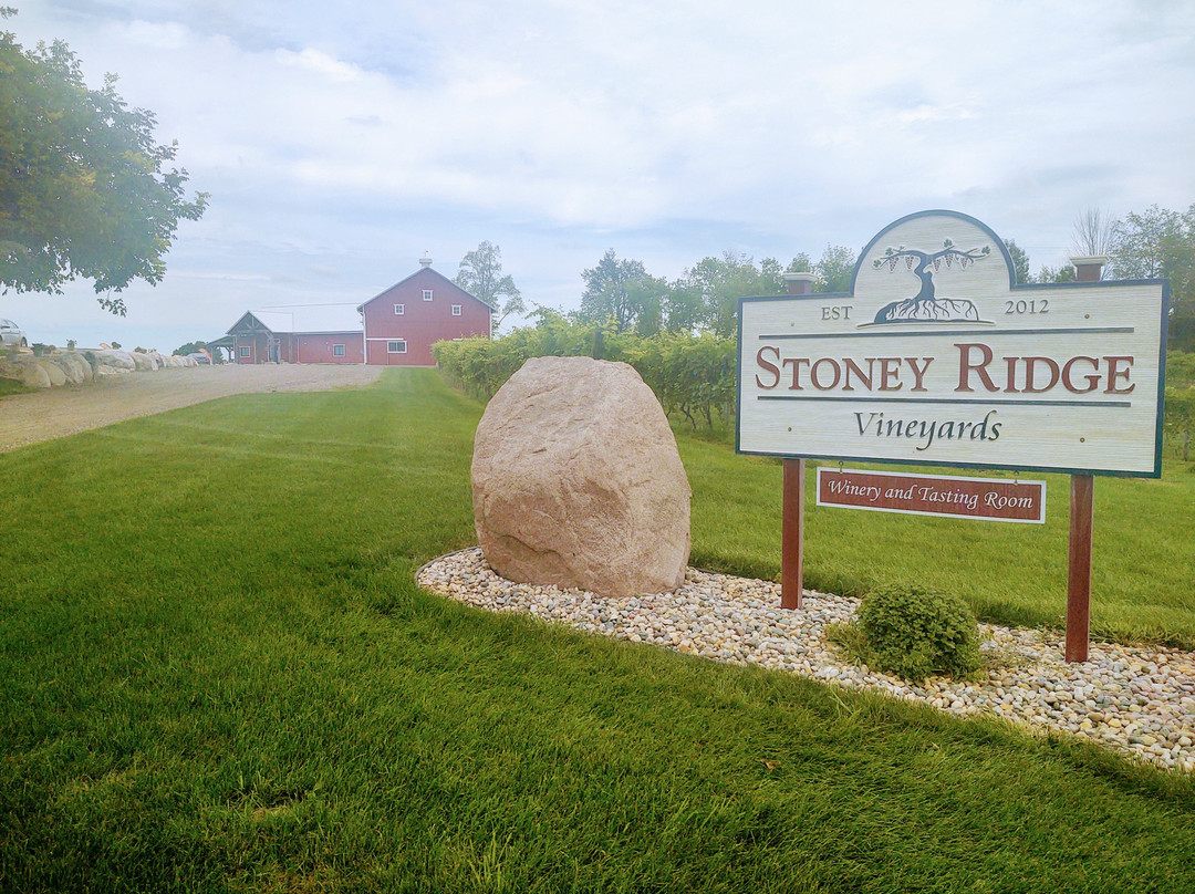 Stoney Ridge Vineyards景点图片