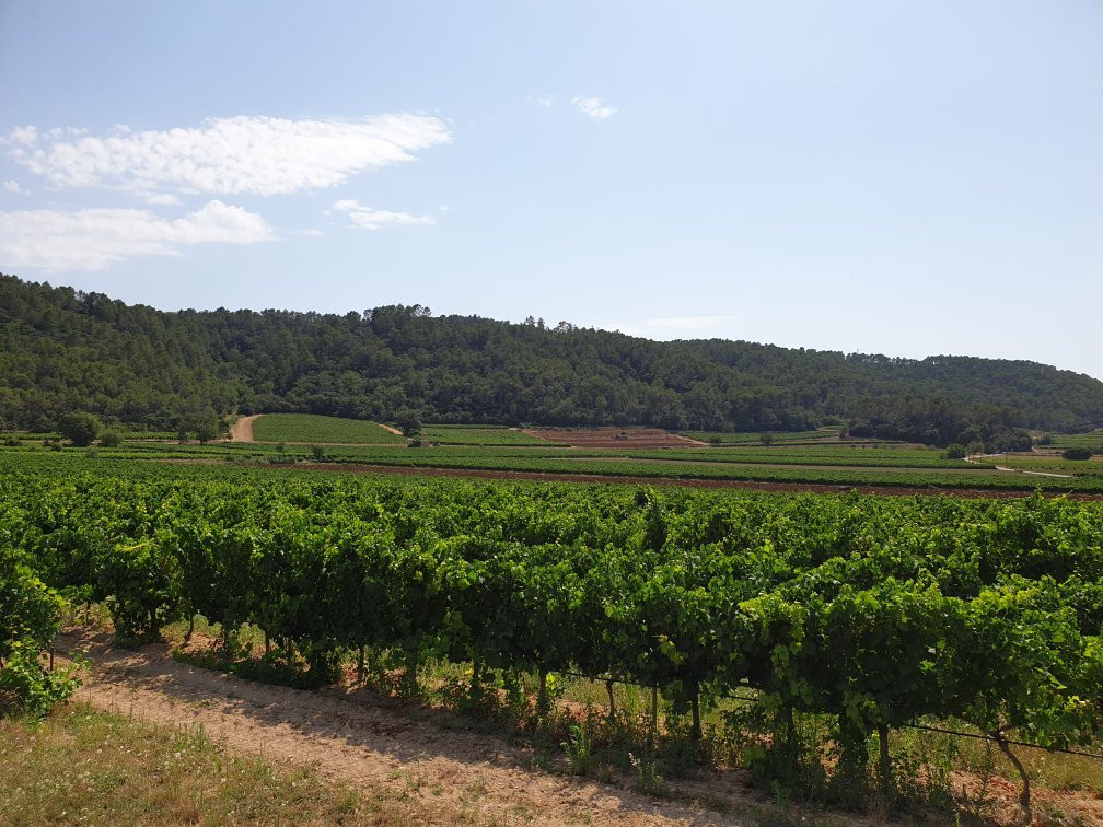 Chateau Sainte Croix景点图片