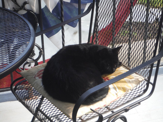 Monroe Manor Inn Bed & Breakfast主图