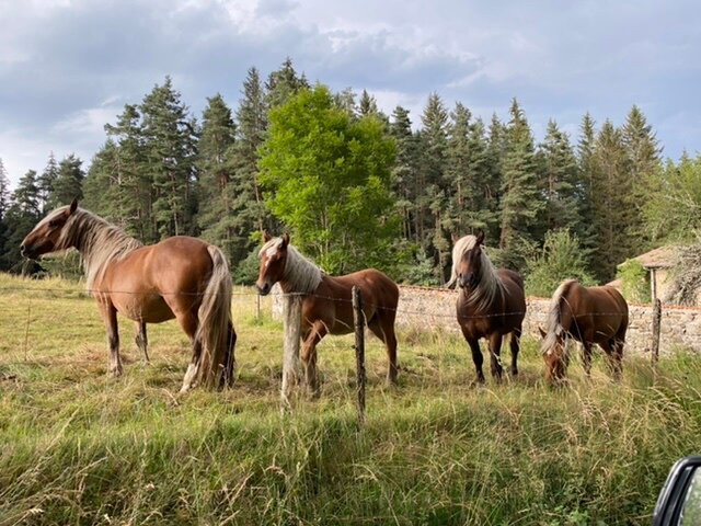 La Ferme du Garnasson主图