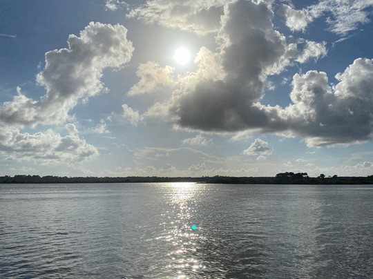 Alex’s Sailing Dream-棕榈海岸必去景点