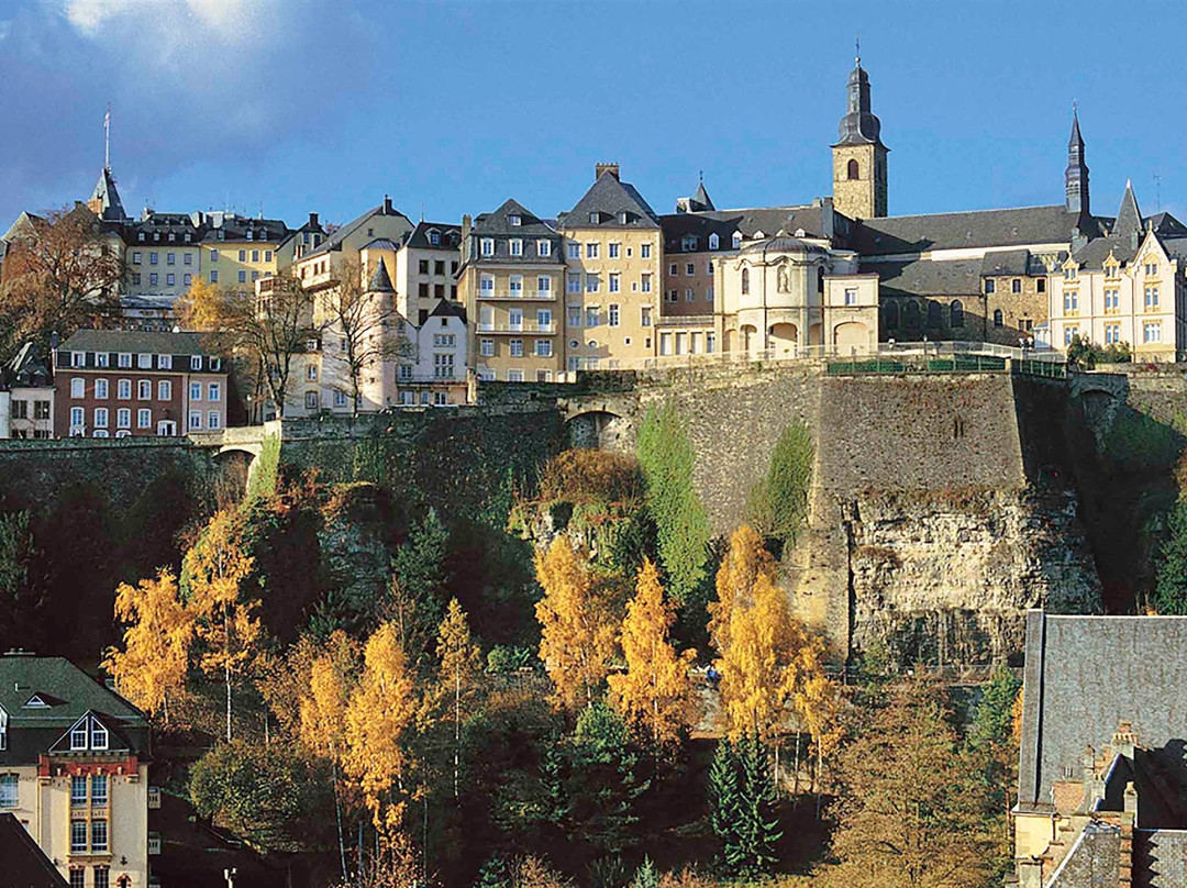 ibis Luxembourg Sud主图