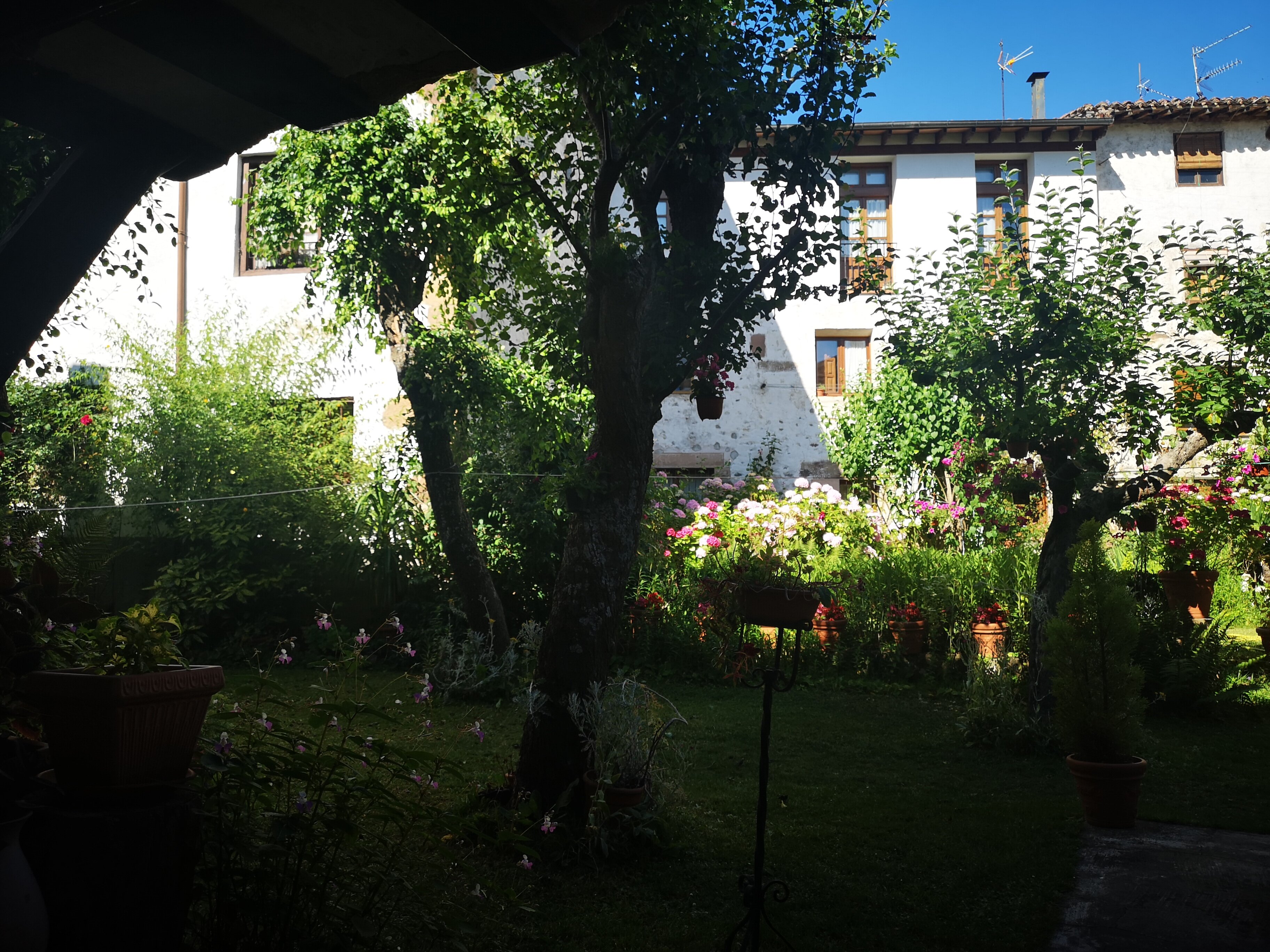 The Garden by Luke-官方