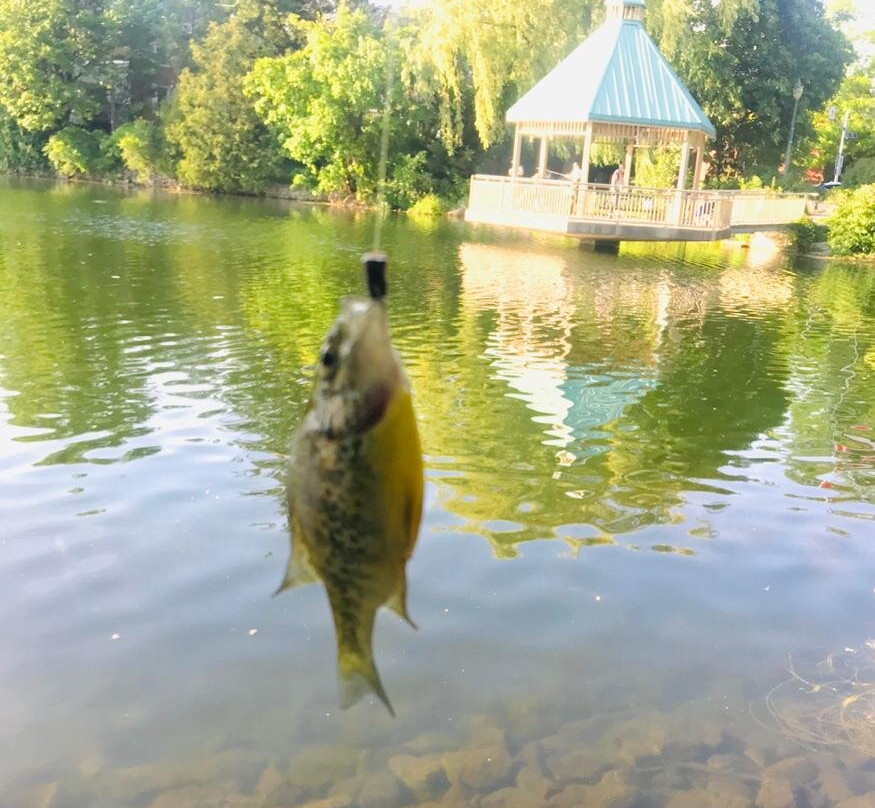 Mill Pond-Milton必去景点
