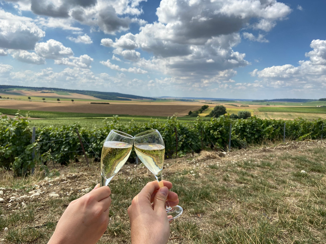 Les Sensations Vigneronnes景点图片