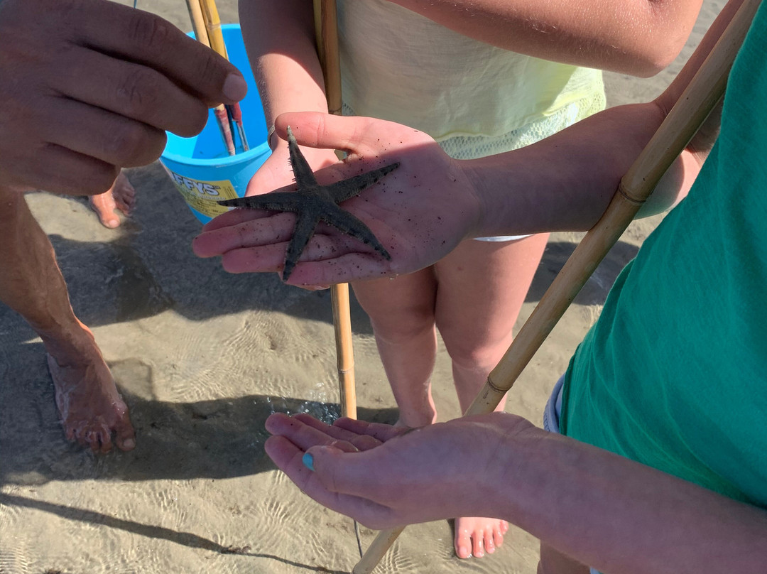 Kuku Yalanji Cultural Habitat Tours-Cooya Beach必去景点