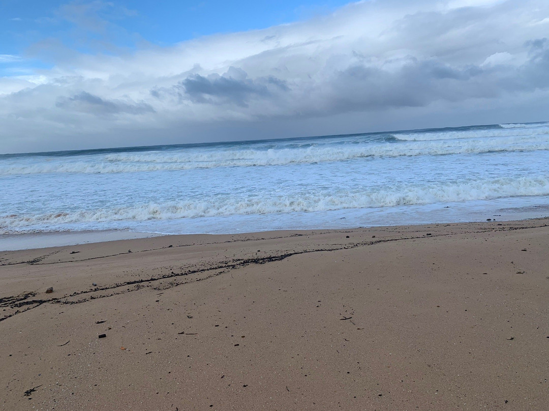 Werri Beach景点图片