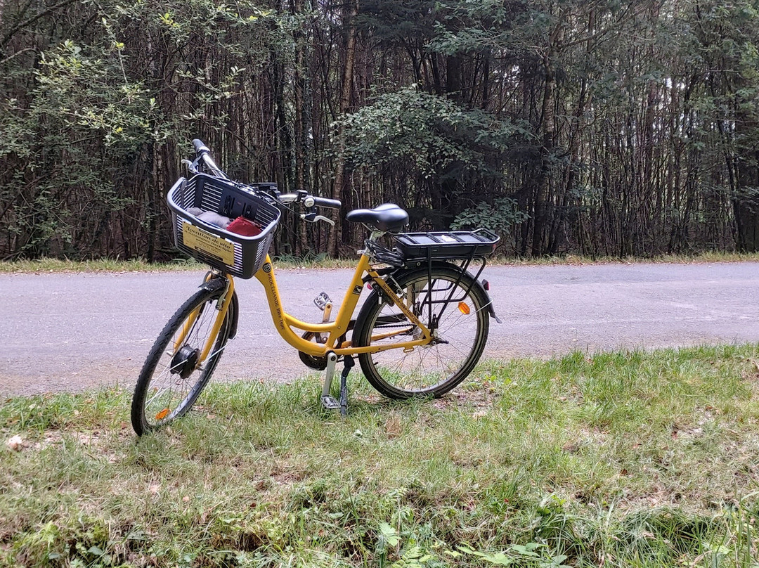 Broceliande Bike景点图片