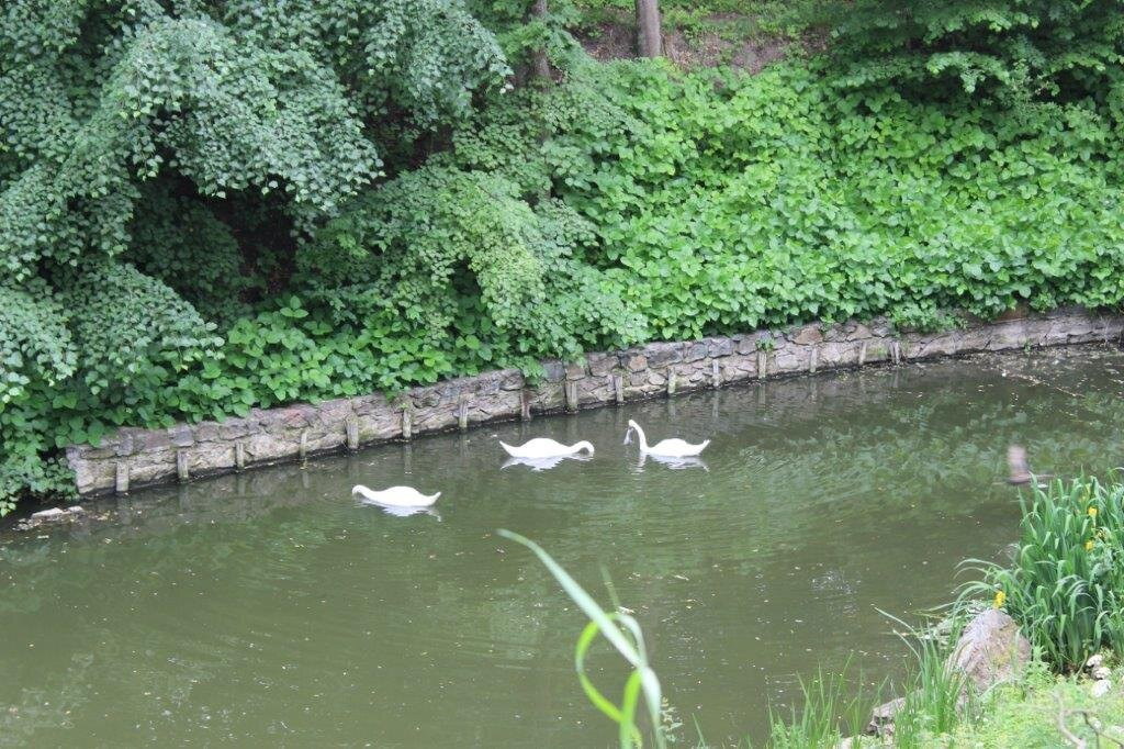 Arboretum Oleksandriya-Bila Tserkva必去景点