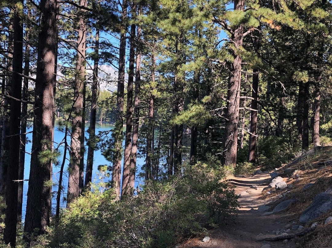 Fallen Leaf Lake Trail-南太浩湖必去景点