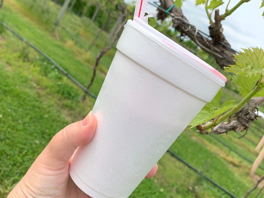 Ladoga Ridge Winery-Smithville必去景点