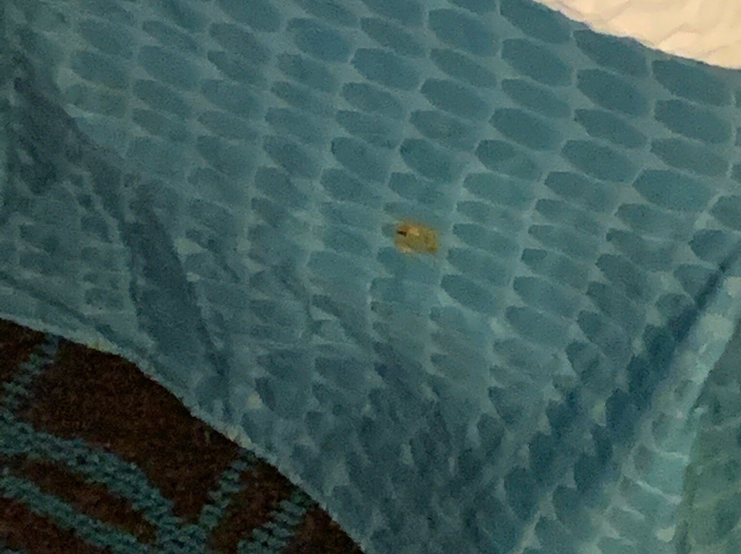 Fairfield by Marriott Inn & Suites Houston Pasadena主图