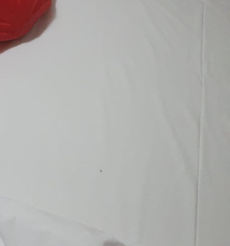 B&B Decarlo Property Tropea主图