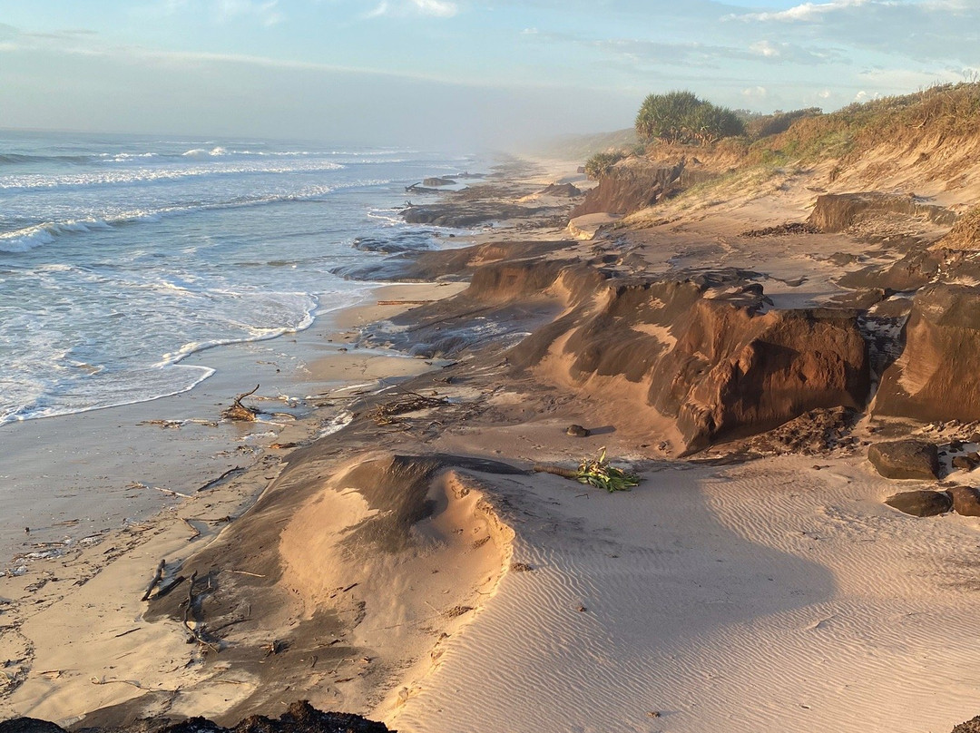 Bundjalung National Park景点图片