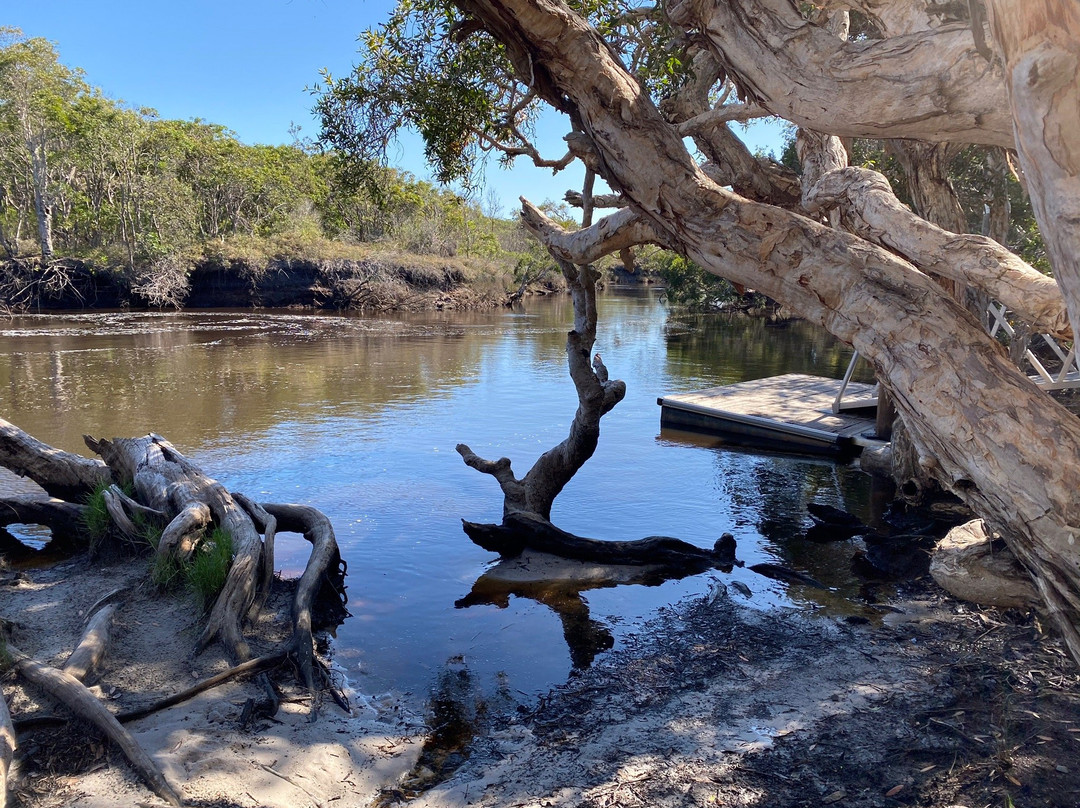 Bundjalung National Park景点图片