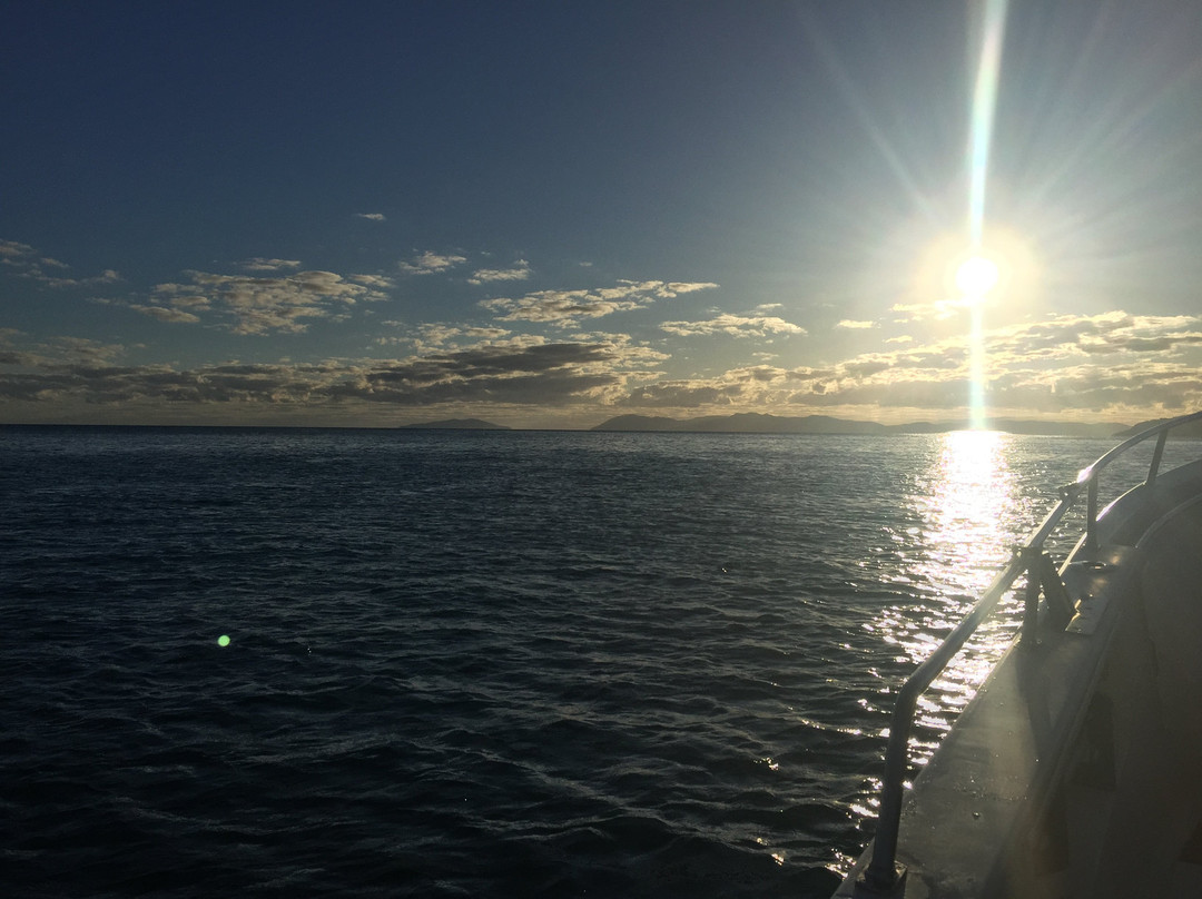 Barra 2 Billfish Fishing Charters景点图片
