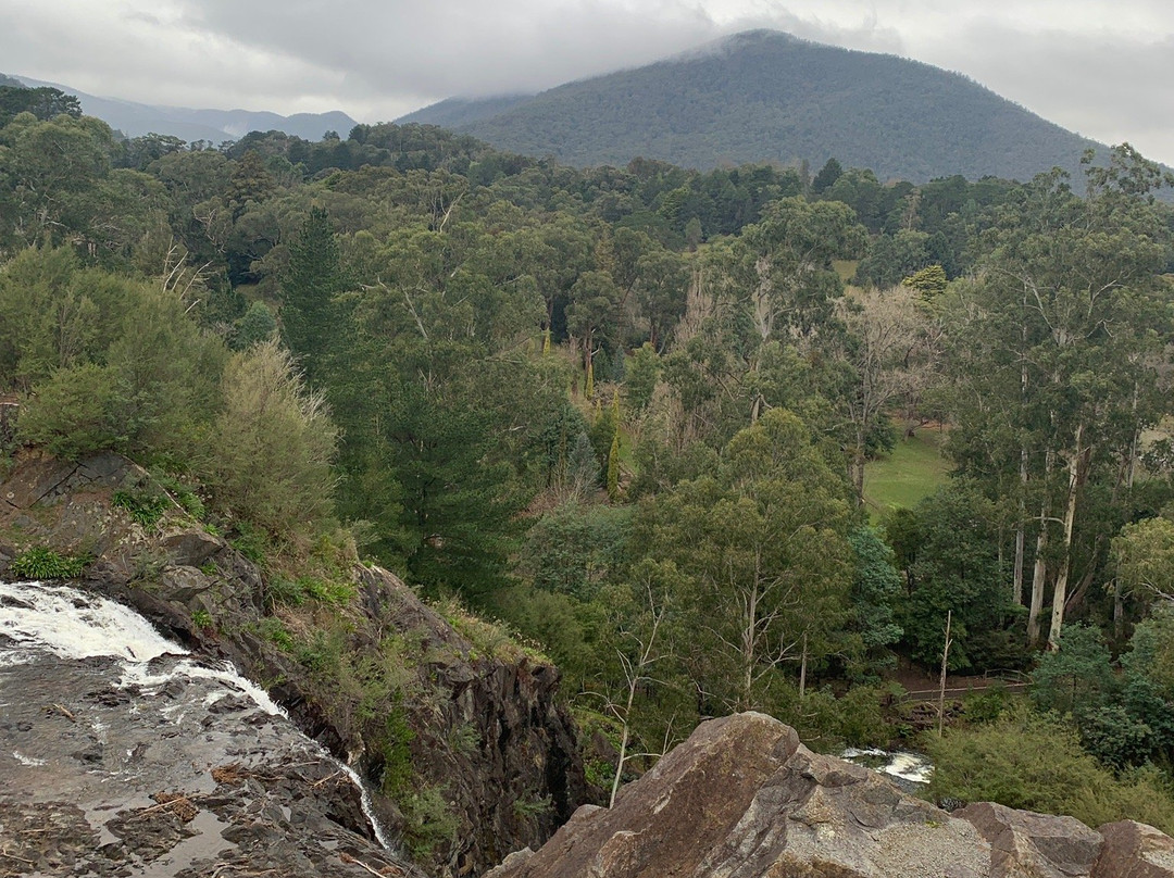 Maroondah Reservoir Park景点图片