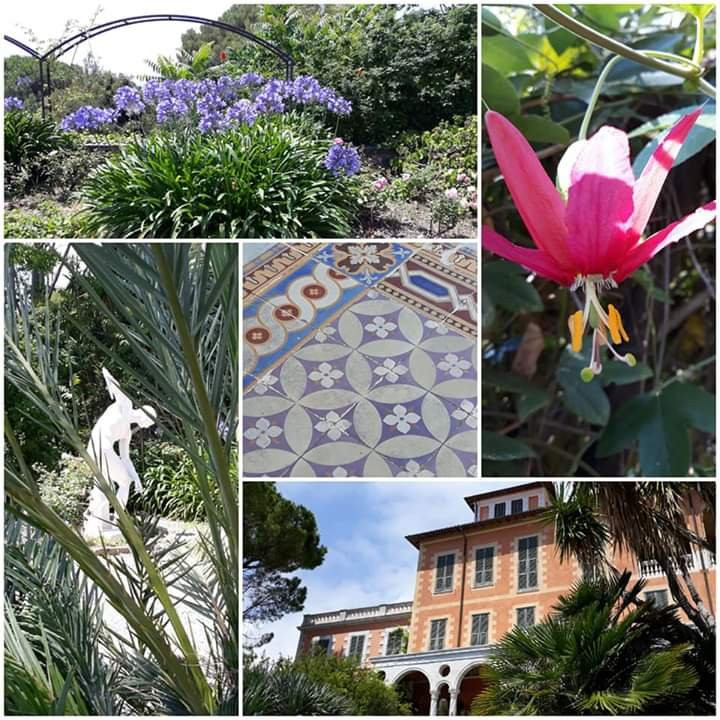 Giardini Botanici Hanbury - Villa Hanbury景点图片