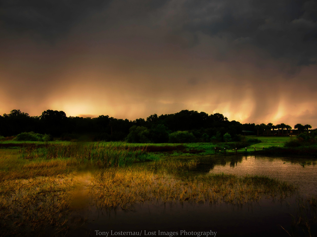 Twin Oaks Conservation-基西米必去景点