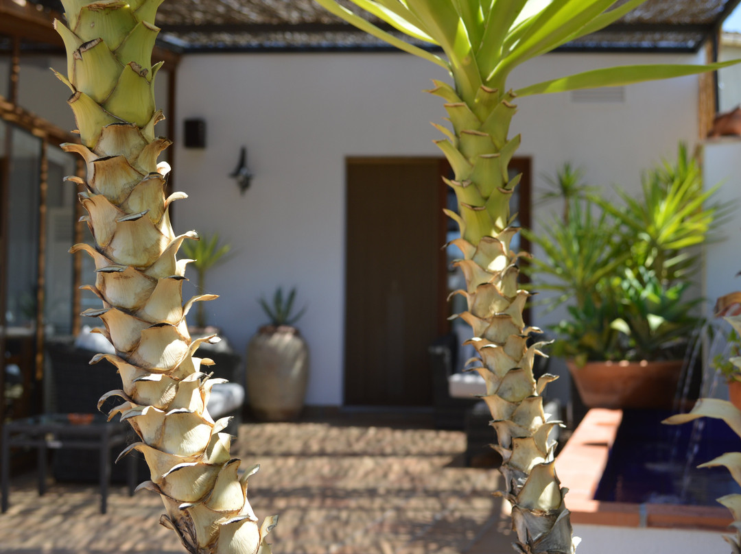 La Sitja Hotel主图