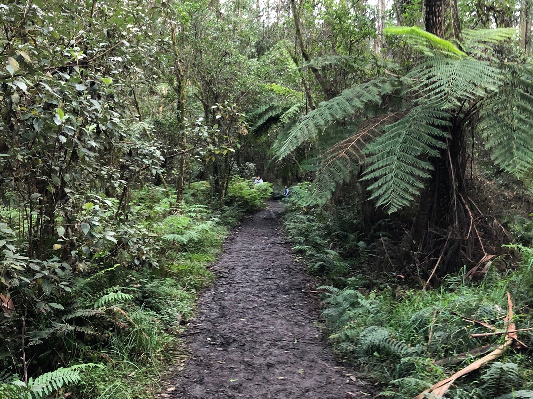 O'Donohue Picnic Ground-希尔布鲁克必去景点