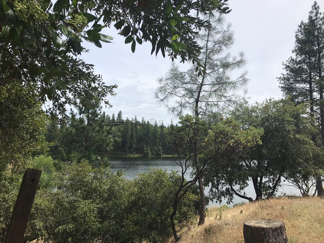 Lake Tabeaud Picnic Area景点图片