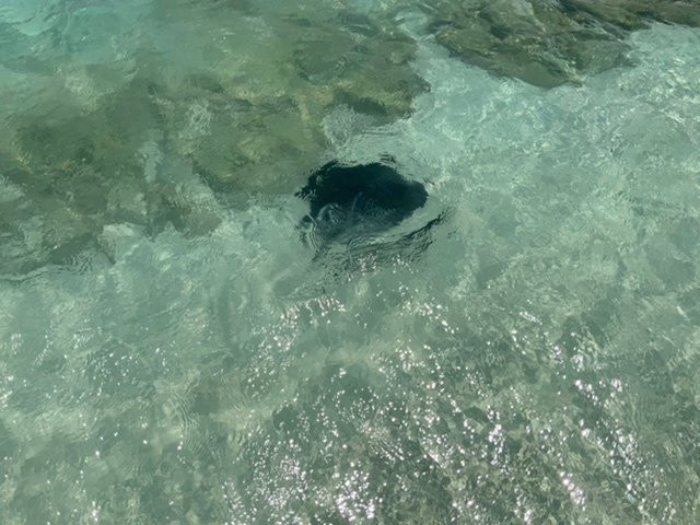 马尔代夫自然天堂度假酒店主图