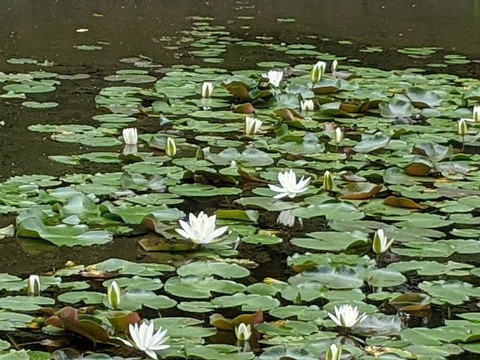 Iwate University Agricultural Education Museum-盛冈市必去景点